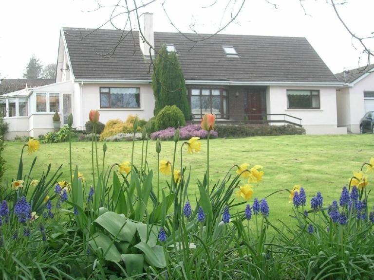 Glen Na Smole Panzió Wicklow Kültér fotó