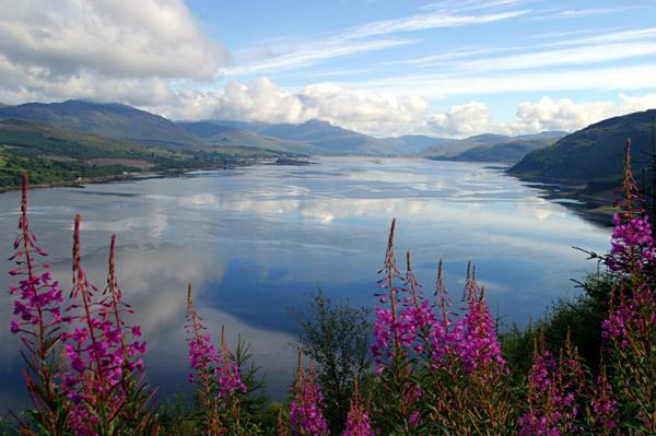 Glen Na Smole Panzió Wicklow Kültér fotó